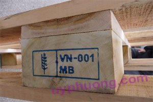 Dịch vụ khử trùng gỗ theo tiêu chuẩn ISPM15